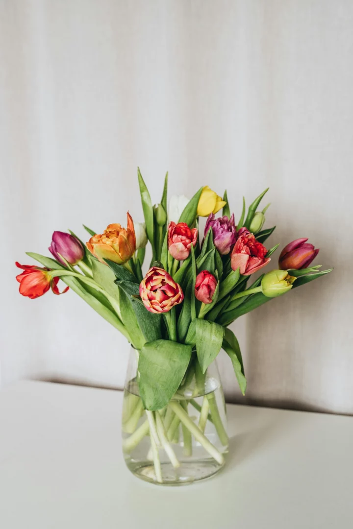 de beste vaas voor tulpen