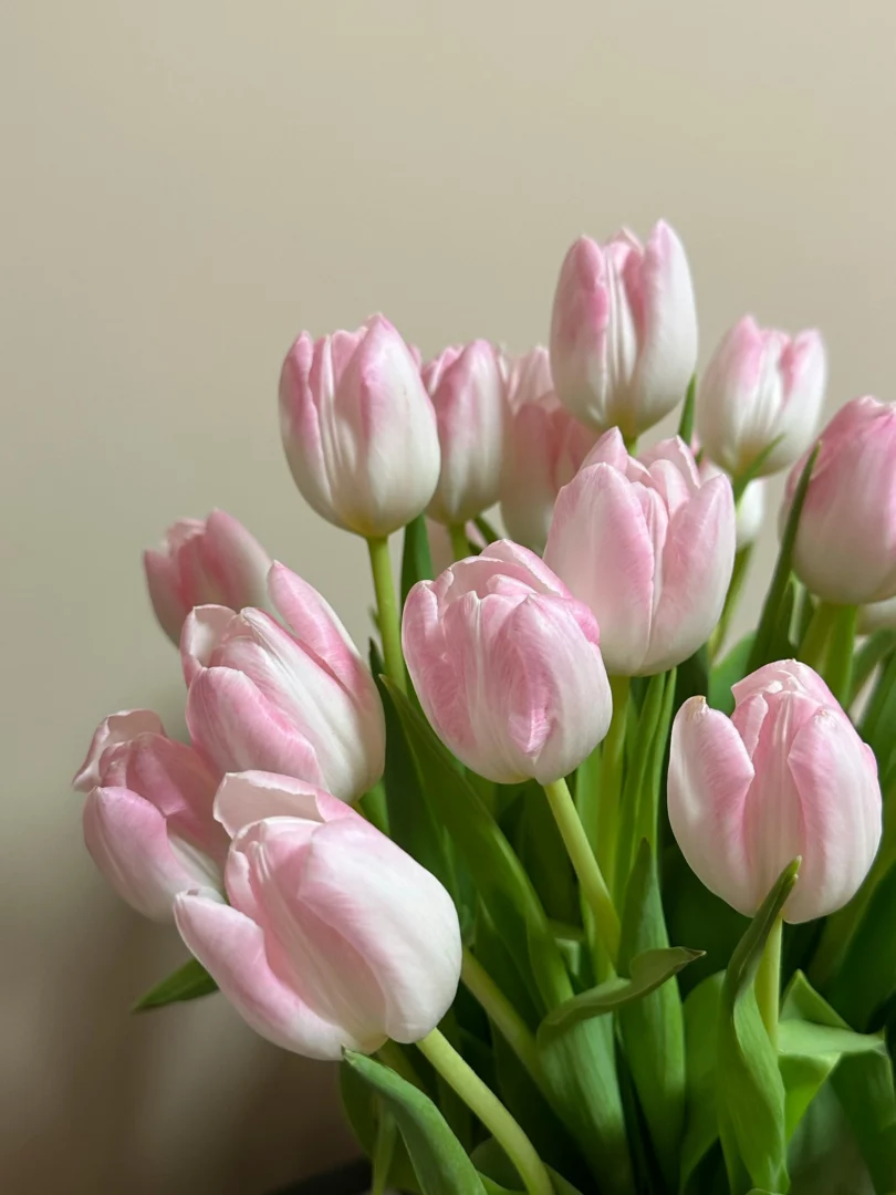 tulpen in vaas